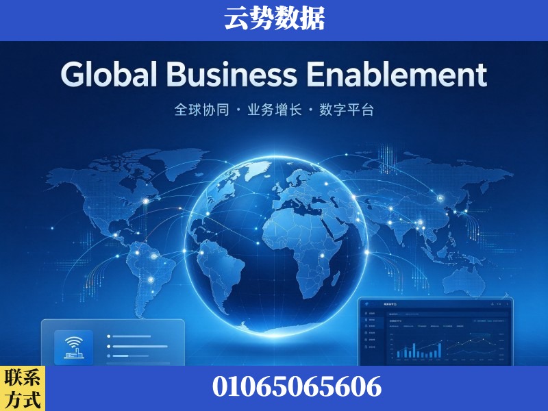 南平-Global Business Enablement